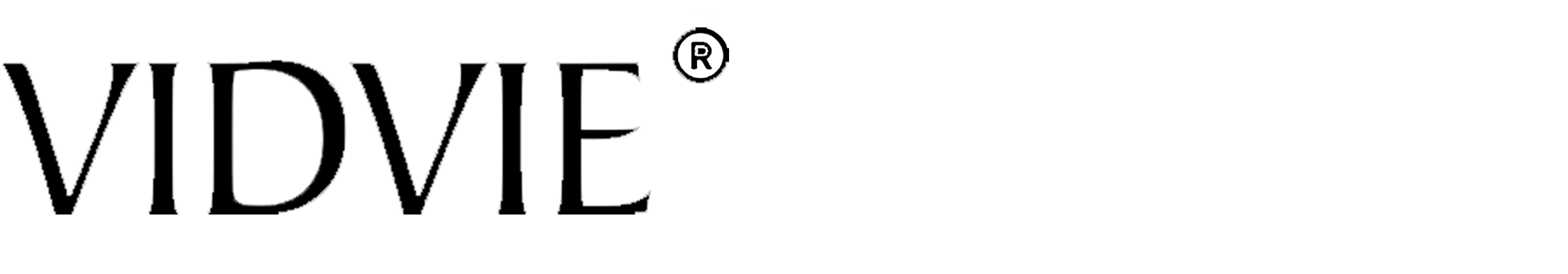 USB Doble (12W) redondo - Vidvie